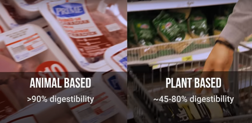 Best Protein Sources to Build Muscle 1 Screenshot 2025 04 17 202345 1024x499 1