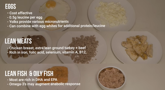 Best Protein Sources to Build Muscle 2 Screenshot 2025 04 17 202520