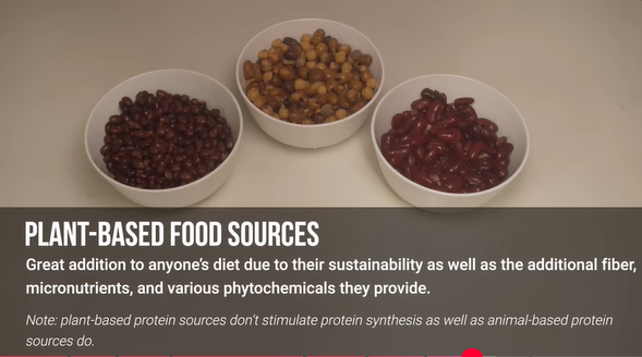 Best Protein Sources to Build Muscle 4 Screenshot 2025 04 17 202714